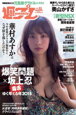 电视剧胡杨女人